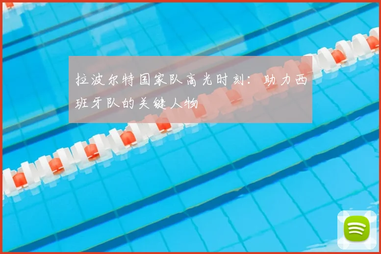 拉波尔特国家队高光时刻：助力西班牙队的关键人物